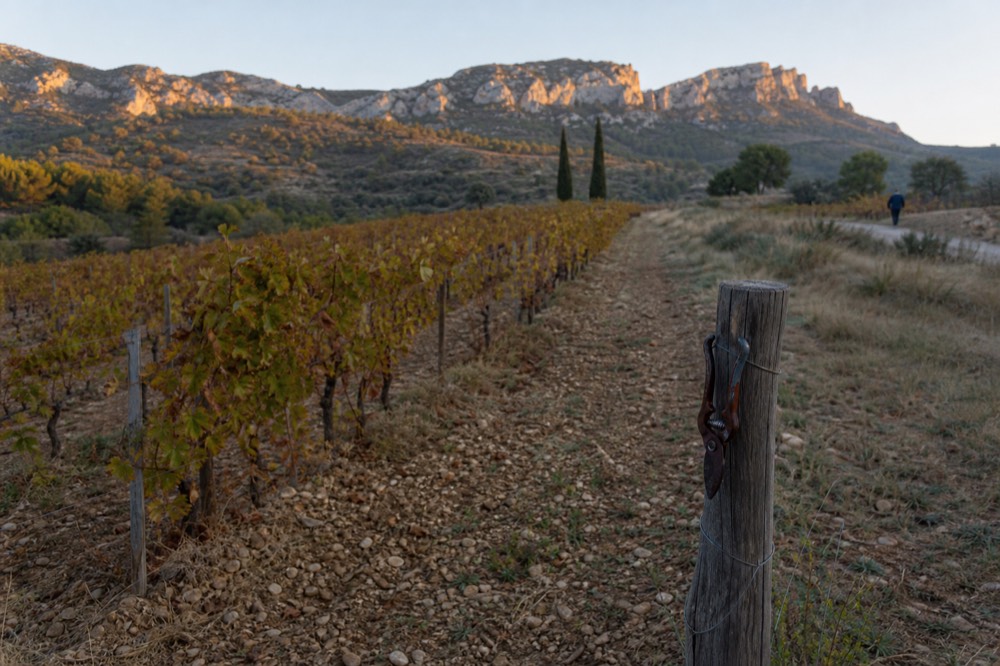 Dentellated limestone ridges above vineyards near Gigondas in the southern Rhône, no text, no logos, no people