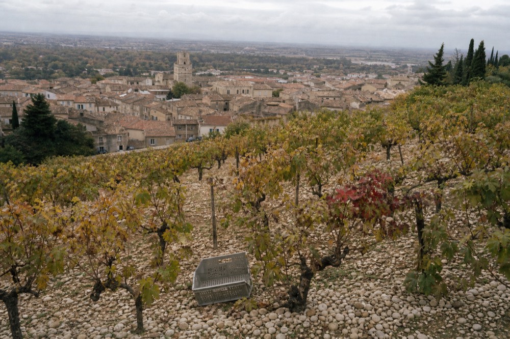 Village rooftops and surrounding vineyards seen from a hillside, no text, no logos, no people