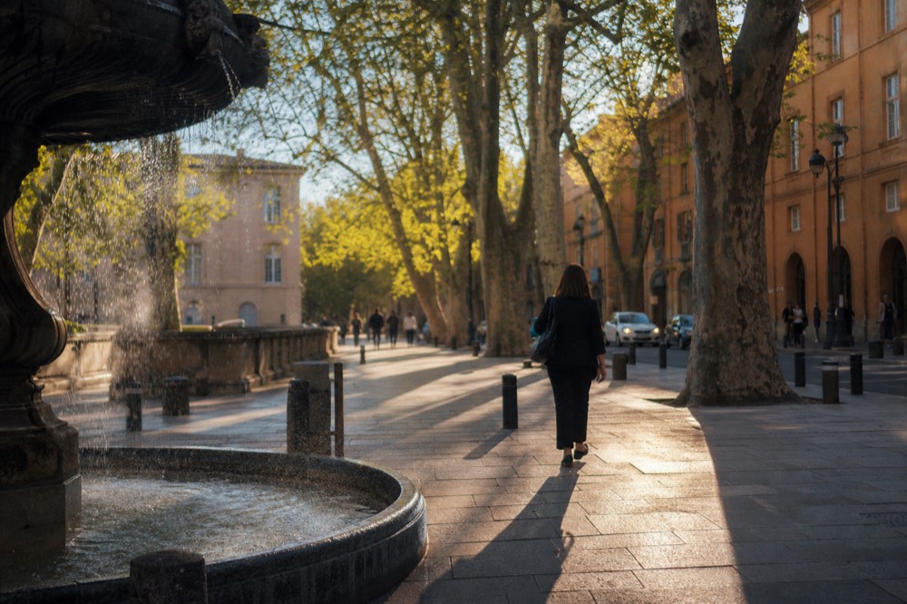 Plane trees shading the Cours Mirabeau in Aix-en-Provence in late afternoon light, no text, no logos, no people.