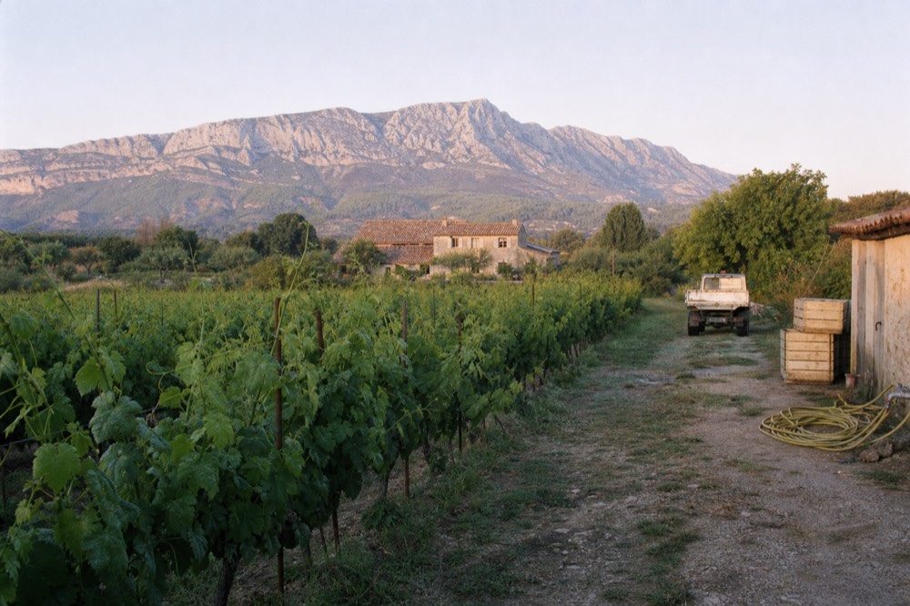 Montagne Sainte-Victoire rising above vineyards and a red-tiled farmhouse, no text, no logos, no people