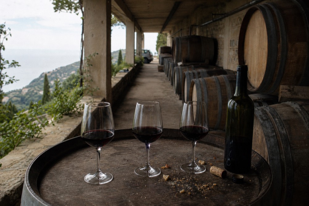 A vertical tasting of three Bandol reds in a dark cellar with oak barrels in the background, no text, no logos, no people