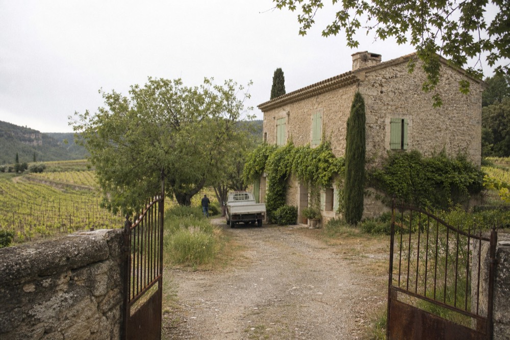Stone winery building among cypress trees and vineyards in Provence, no text, no logos, no people