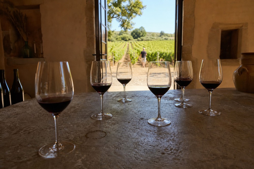 Wine glasses lined up on a tasting room counter with a view of vineyards, no text, no logos, no people