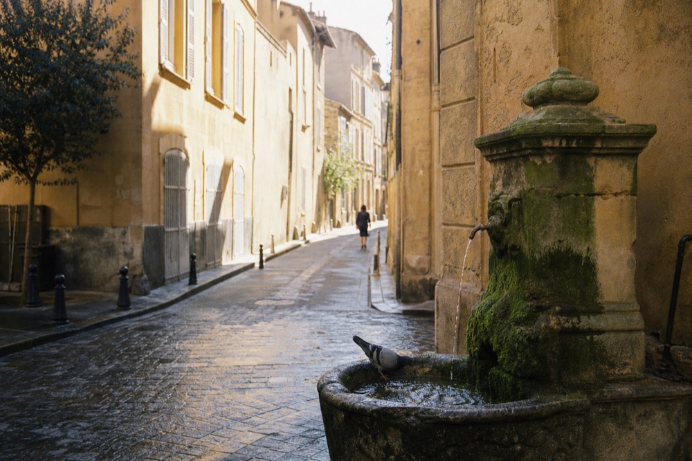 Plane-tree-lined Cours Mirabeau boulevard in Aix-en-Provence, no text, no logos, no people