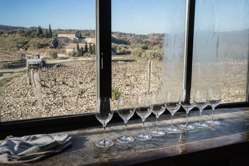 Wine glasses lined up on a tasting counter with a vineyard view, no text, no logos, no people