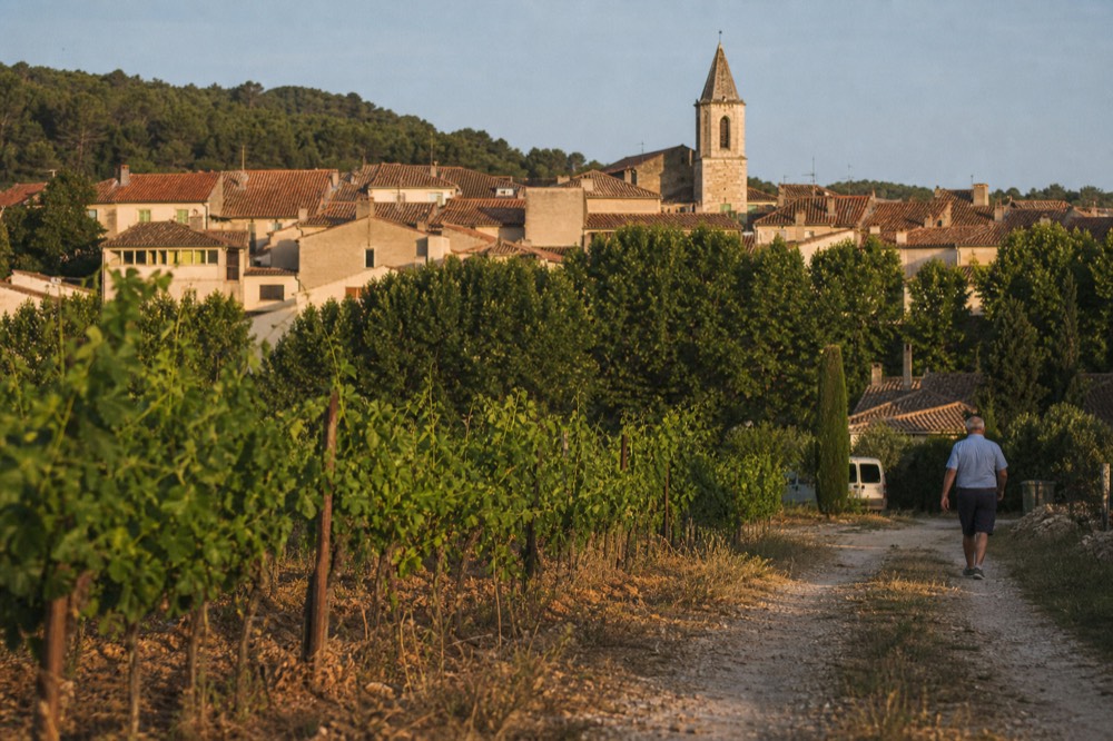 Village of Les Arcs-sur-Argens with vineyards in the foreground, no text, no logos, no people